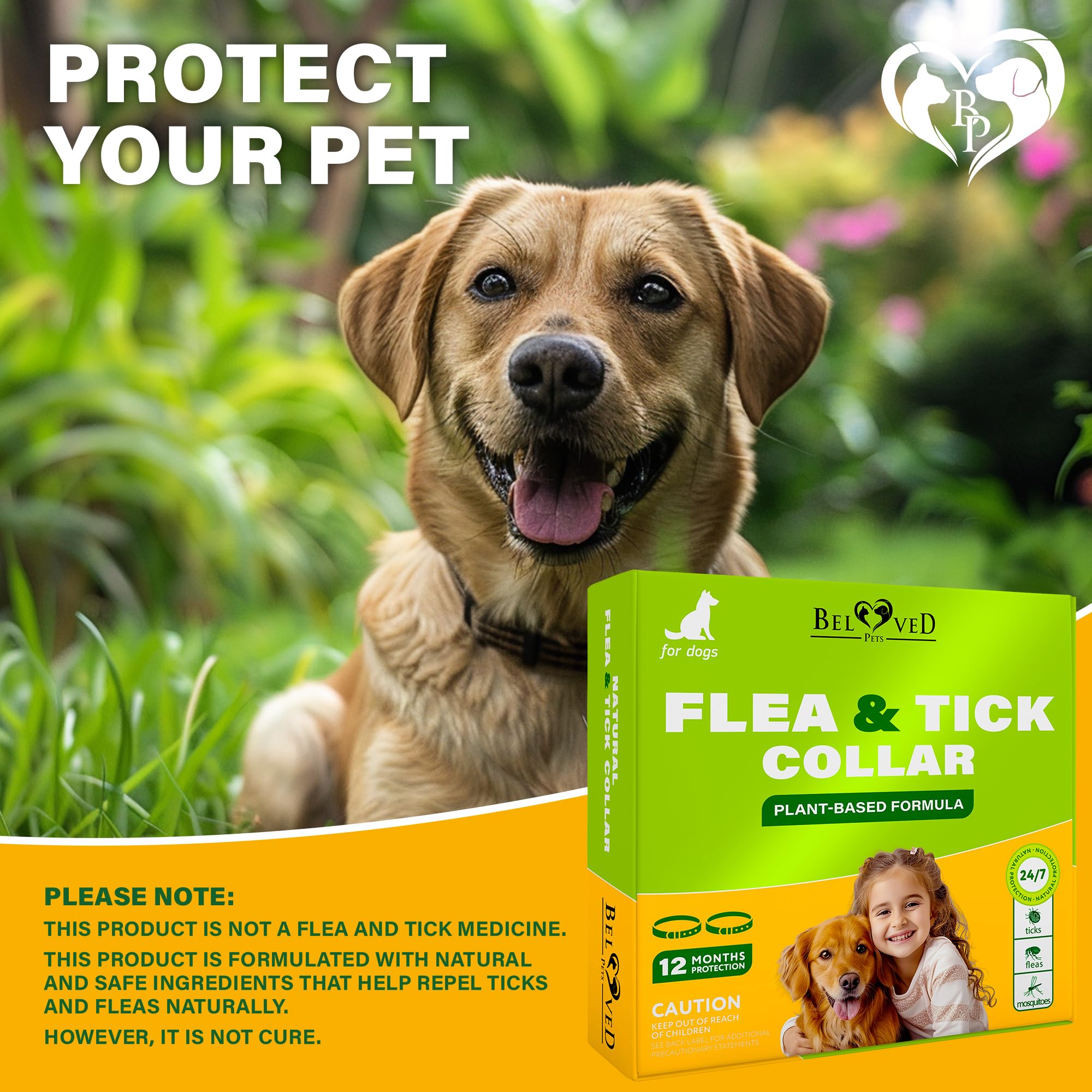 Close-up of adjustable lock demonstrates secure fit on different dog sizes.
