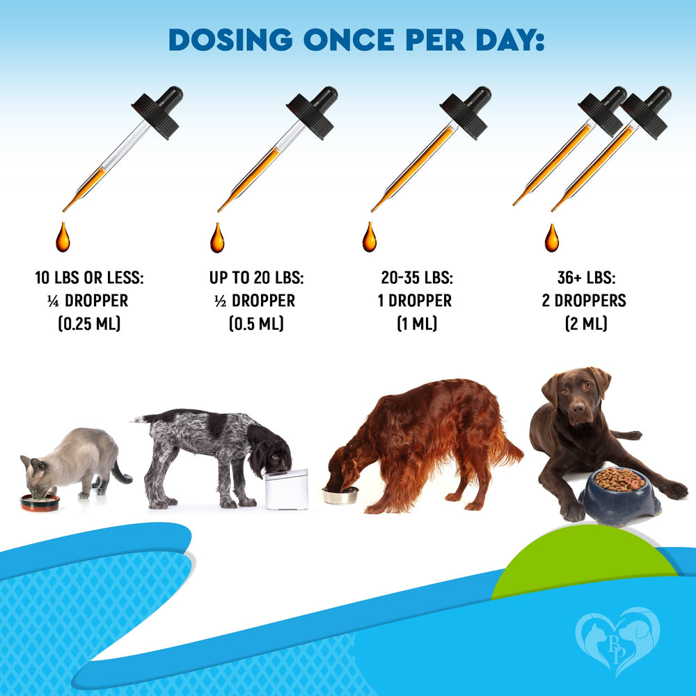 Beloved Pets cat asthma support drops visuals for easier breathing guidance