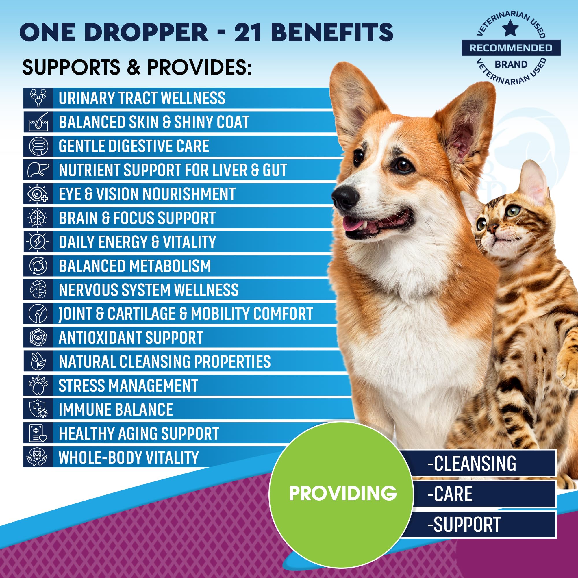 Beloved Pets multivitamin liquid drops ready to apply to meals or treats.