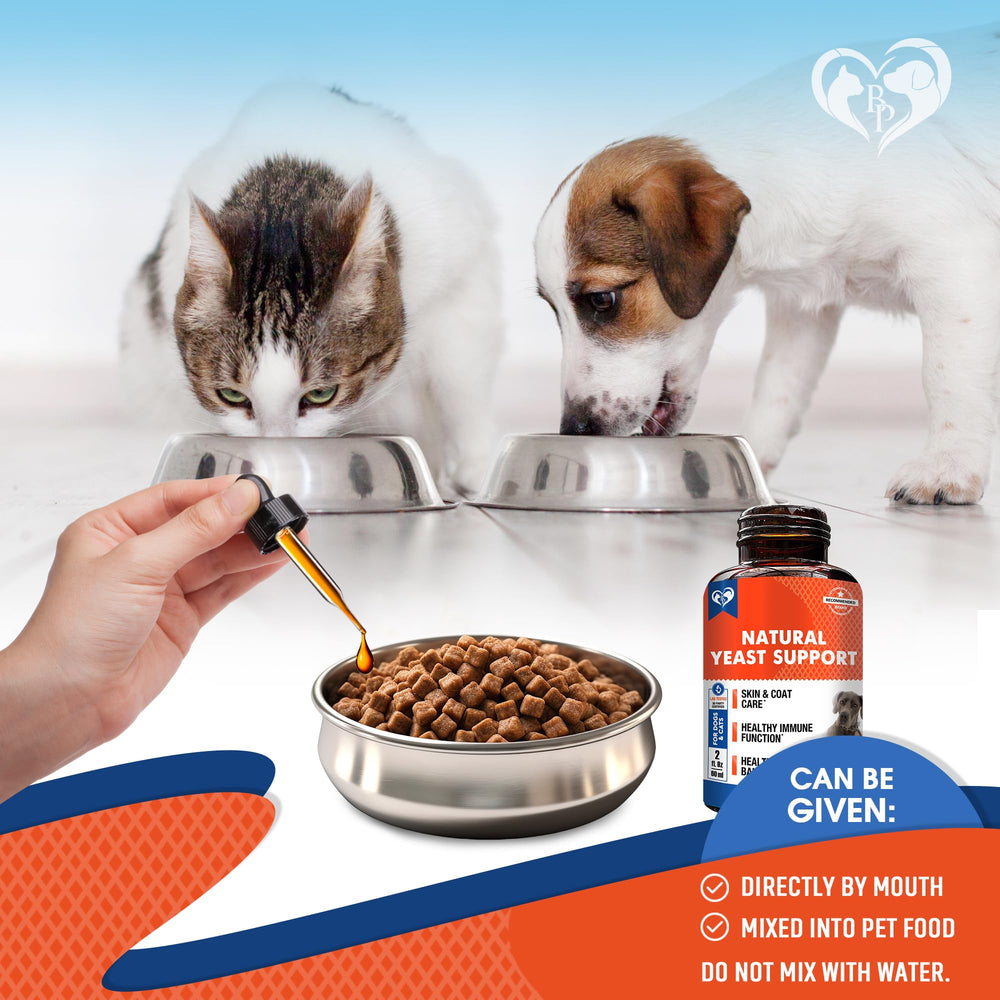 Beloved Pets cat skin comfort drops highlight soothing relief
