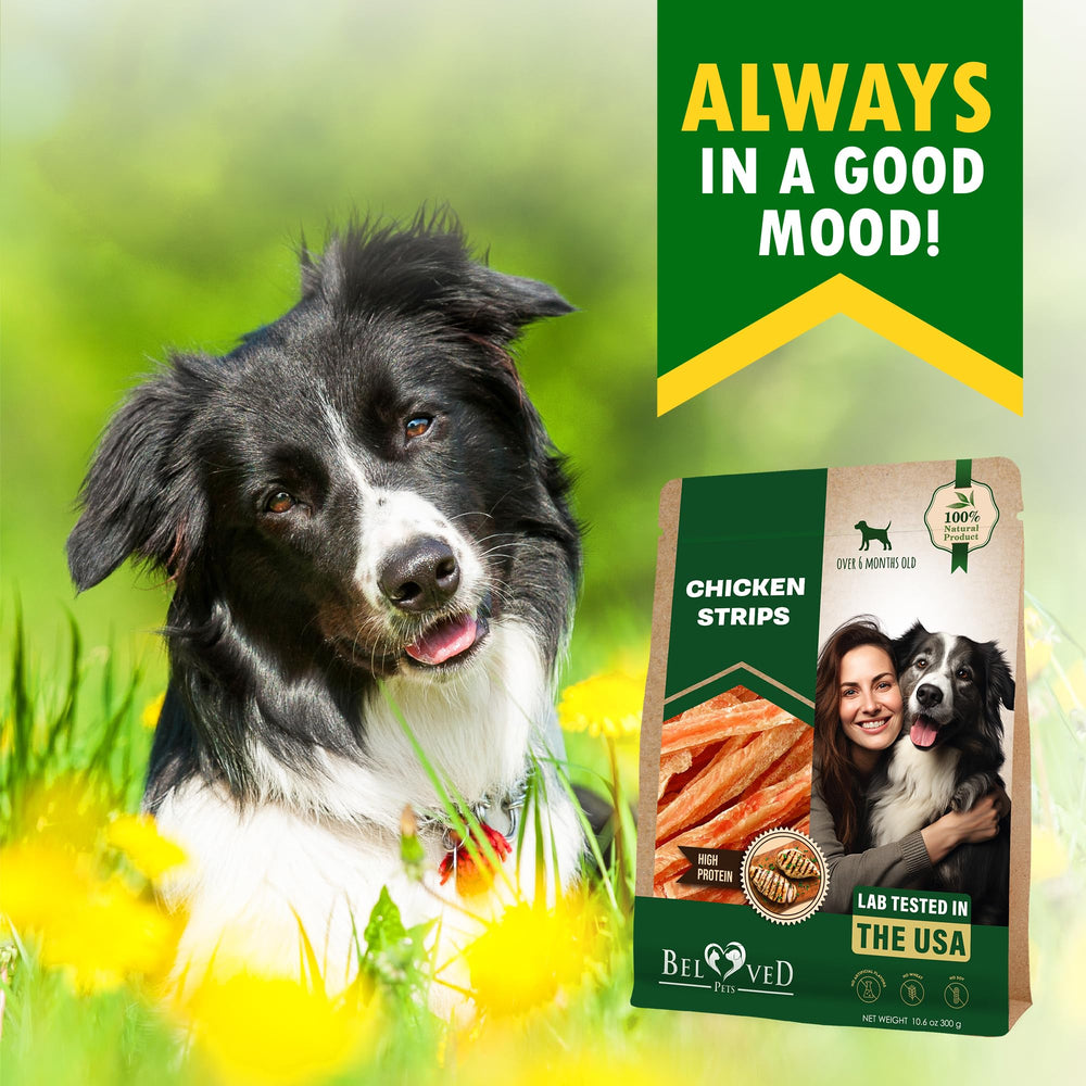 Beloved Pets chicken jerky strips open-pack reveal premium texture