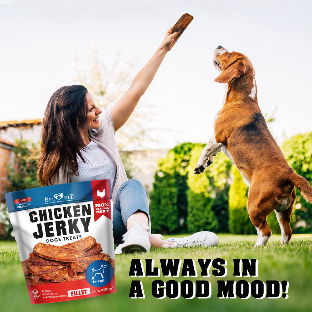 Beloved Pets Chicken Jerky USA-made label signals all-natural, grain-free ingredients.