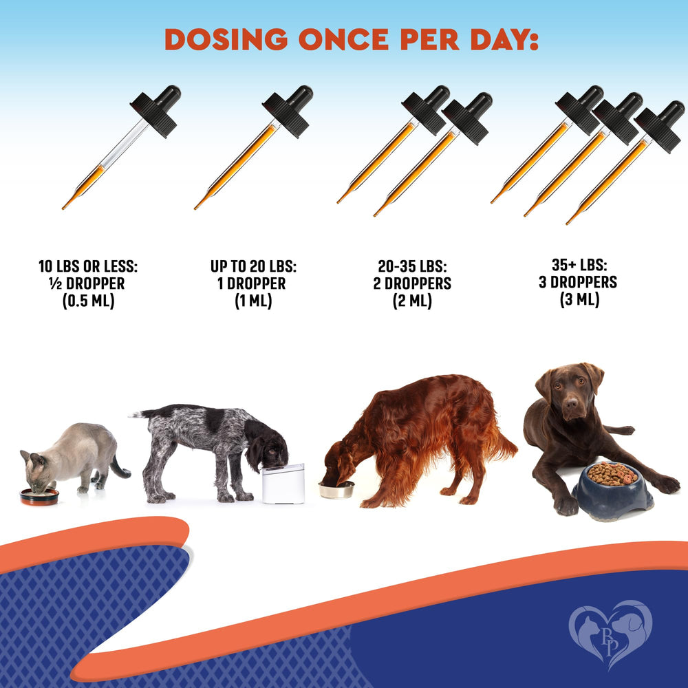 Beloved Pets gut-health probiotic drops shown during feeding for tummy relief.