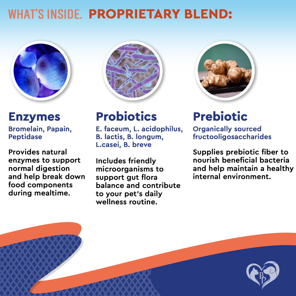 Beloved Pets liquid probiotic drops with spoon aid daily gut comfort.