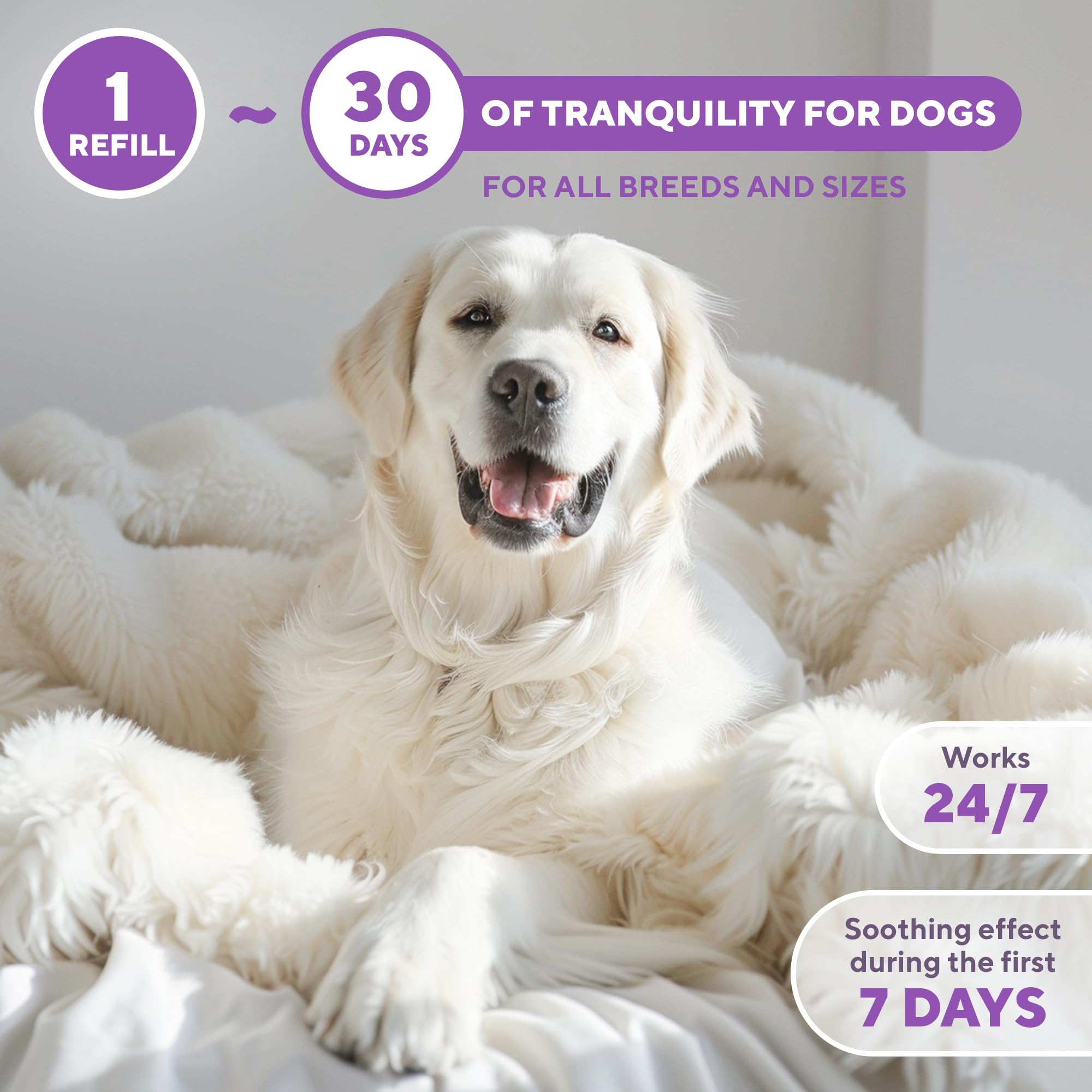 Beloved Pets harmony-focused refill encourages steady routines and reduced marking or scratching.