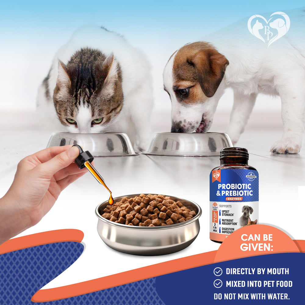 Beloved Pets probiotic blend being poured for gut balance.