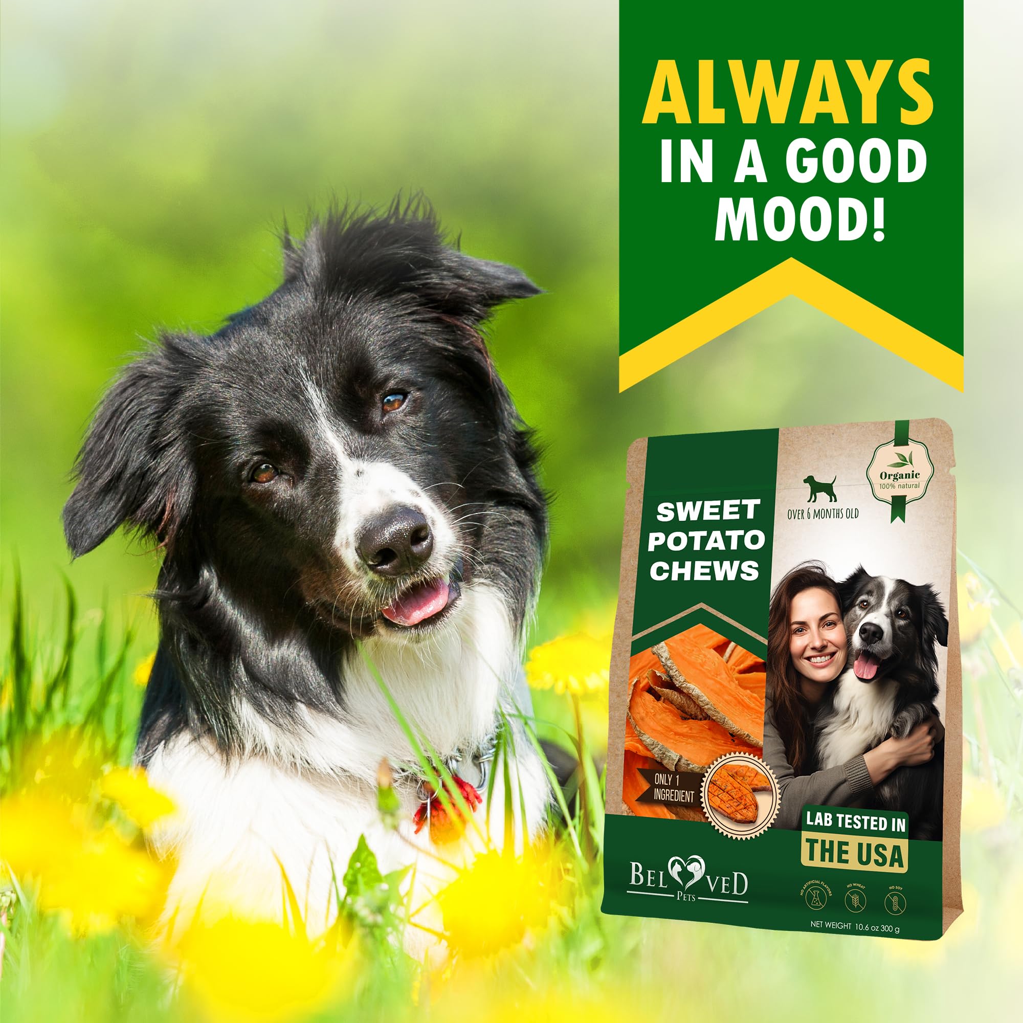 Beloved Pets on-the-go snack pack for outdoor adventures with dogs