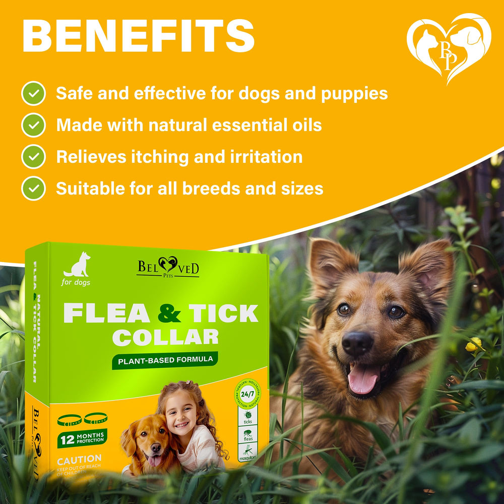 Beloved Pets collar uses a polymer carrier for long-lasting essential-oil release.
