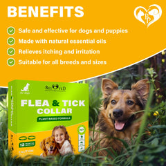 Beloved Pets collar uses a polymer carrier for long-lasting essential-oil release.