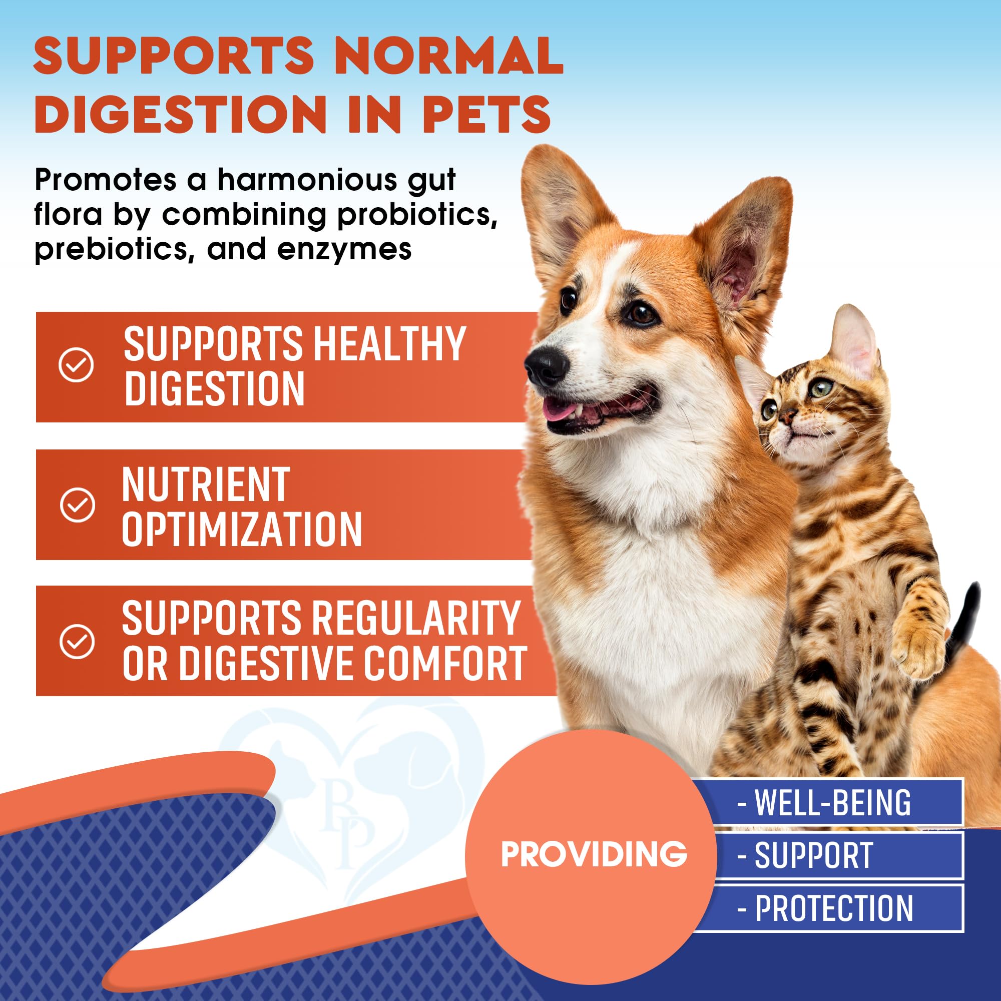 Beloved Pets probiotics-enzymes for cats bottle closeup supports digestion.