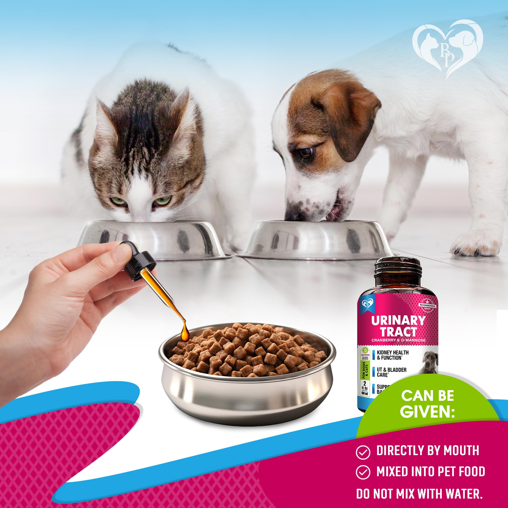 Beloved Pets pumpkin seed extract visual emphasizes antioxidant support