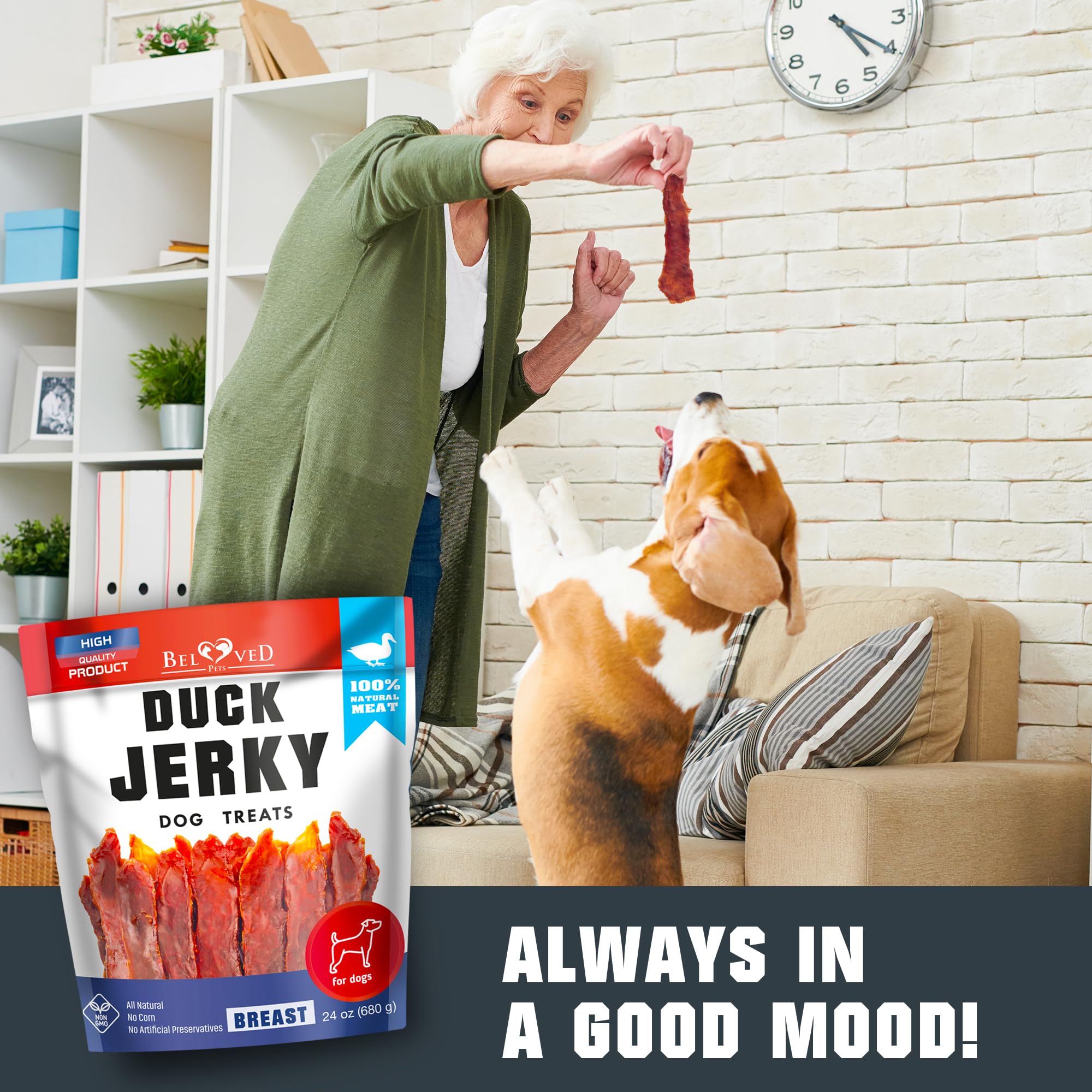 Beloved Pets Rawhide-Free Jerky closeup—no rawhide, easy-to-digest rewards.
