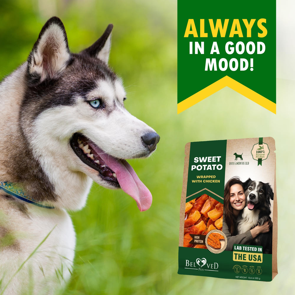 Beloved Pets recompensas para entrenamiento versátiles, aptas para perros de todas las tallas