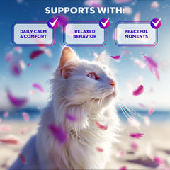 Beloved Pets scratch-repellent spray on furniture helps reduce scratching.
