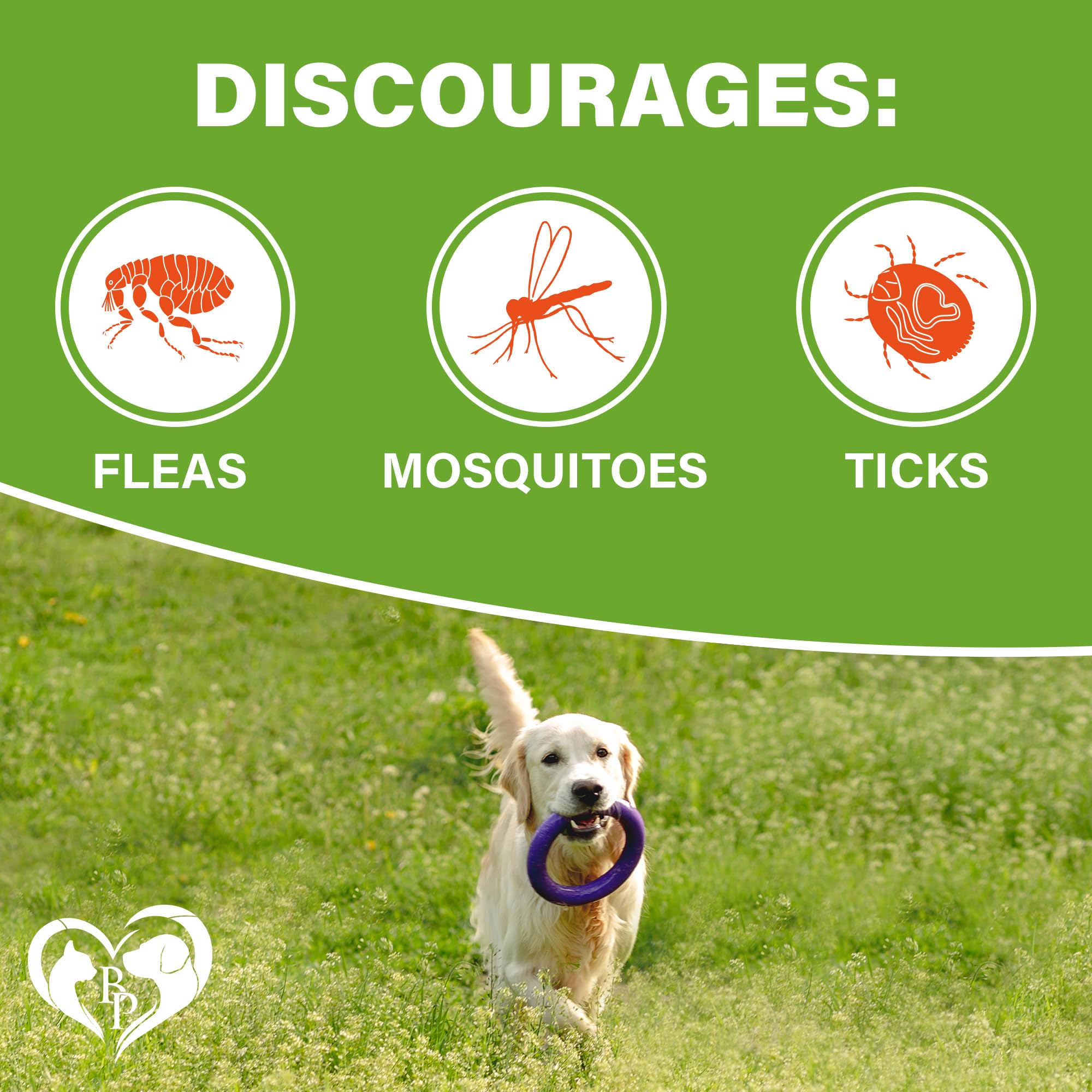 Beloved Pets serving chart for dog chews explains weight-based dosing