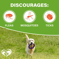 Beloved Pets serving chart for dog chews explains weight-based dosing