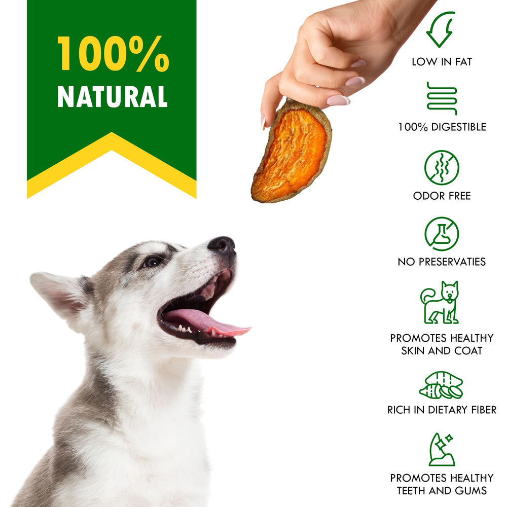 Beloved Pets training snacks bite-size sweet potato chips ideal for commands