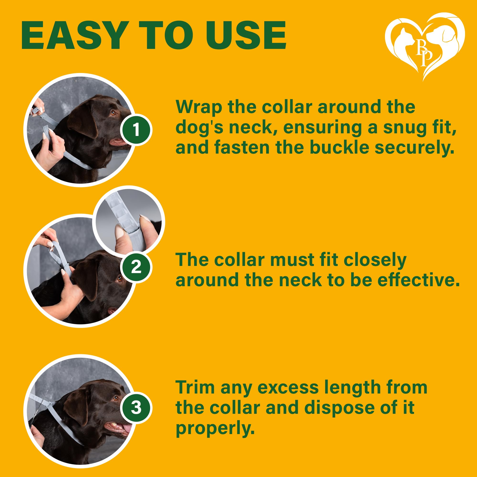 Beloved Pets 2-pack shown for easy replacement and constant protection.
