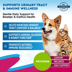 Beloved Pets Urinary Tract Drops label highlights cranberry and D-Mannose ingredients.