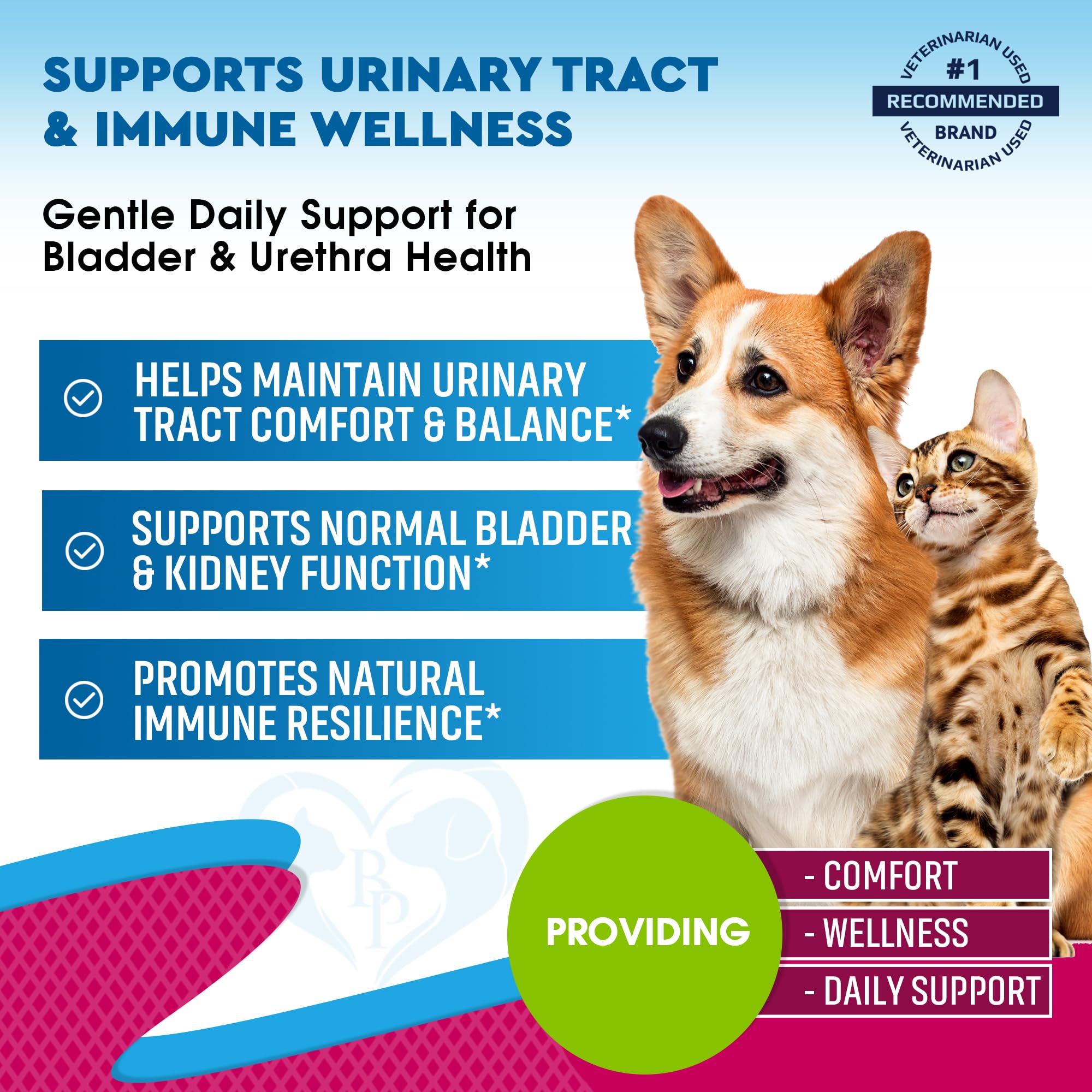 Beloved Pets UTI dosing dropper enables simple at-home administration