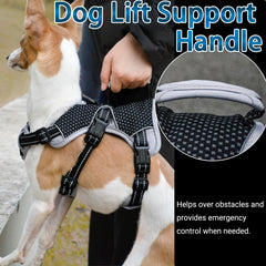 BELPRO escape-proof no-pull design demonstrated on a large dog