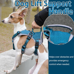BELPRO harness blue breathable inner mesh keeps dogs cool during hikes and runs