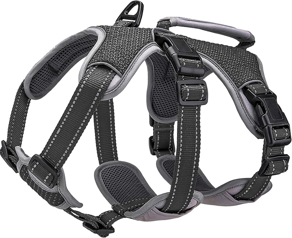 BELPRO multi-use harness shown on dog during an outdoor walk for secure fit