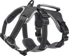 BELPRO multi-use harness shown on dog during an outdoor walk for secure fit