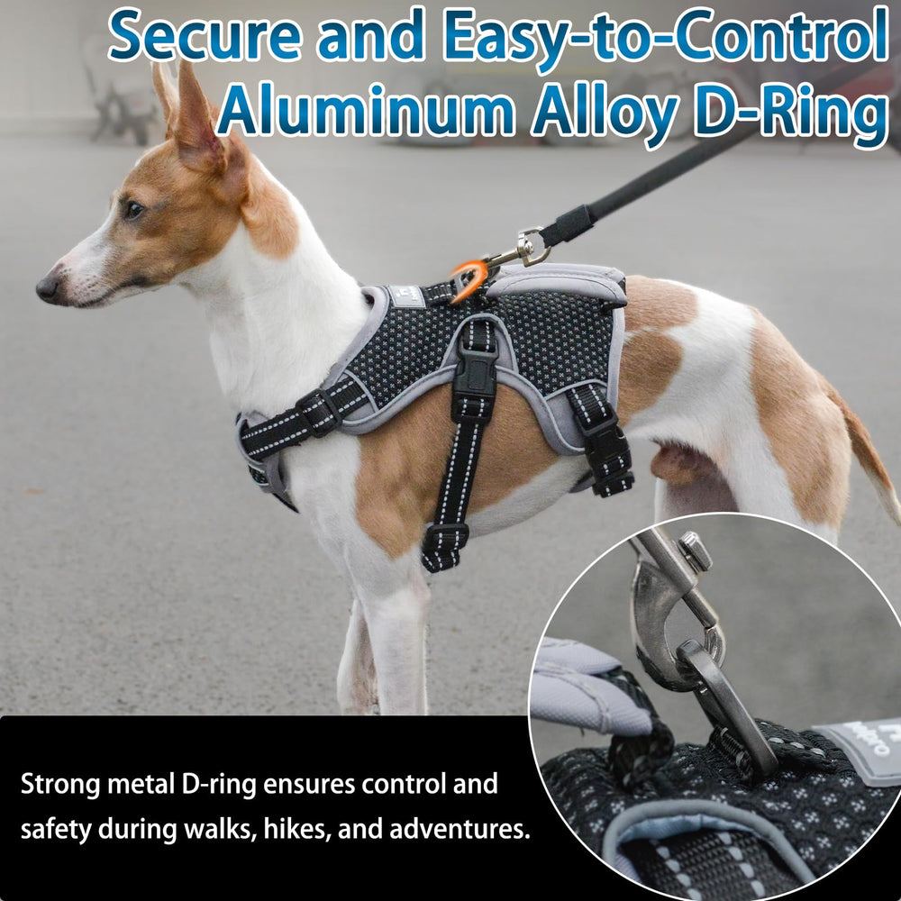 BELPRO soft padded chest and belly panels reduce rubbing during activity