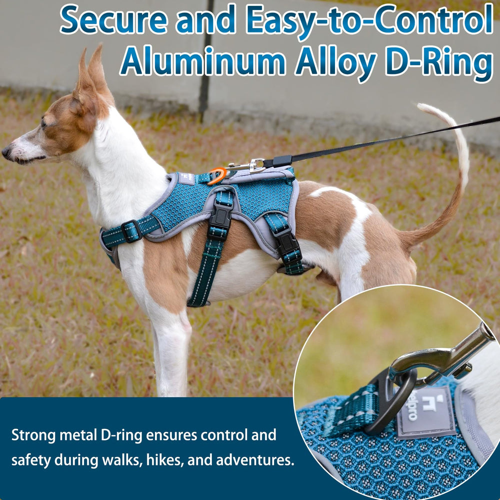 BELPRO soft-padded chest panel reduces friction during longer sessions.