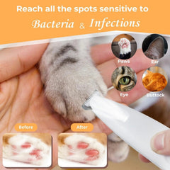Belvedir Cat Grooming Trimmer used around ears for gentle precision.