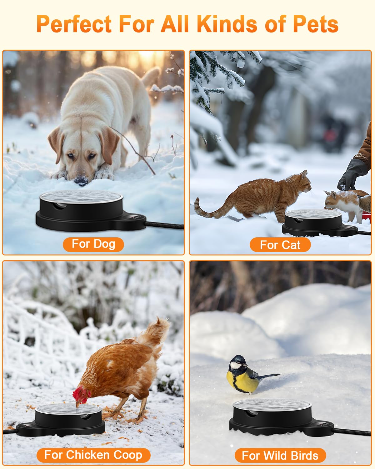 BEMOKURI BPA-free heating base provides safe, reliable warmth for drinking water.