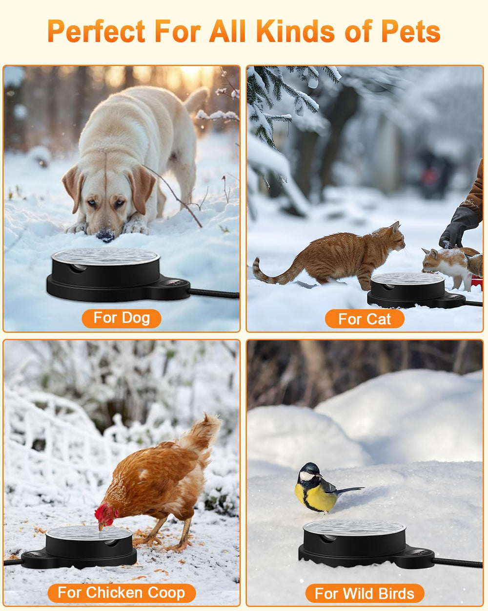 BEMOKURI BPA-free heating base provides safe, reliable warmth for drinking water.