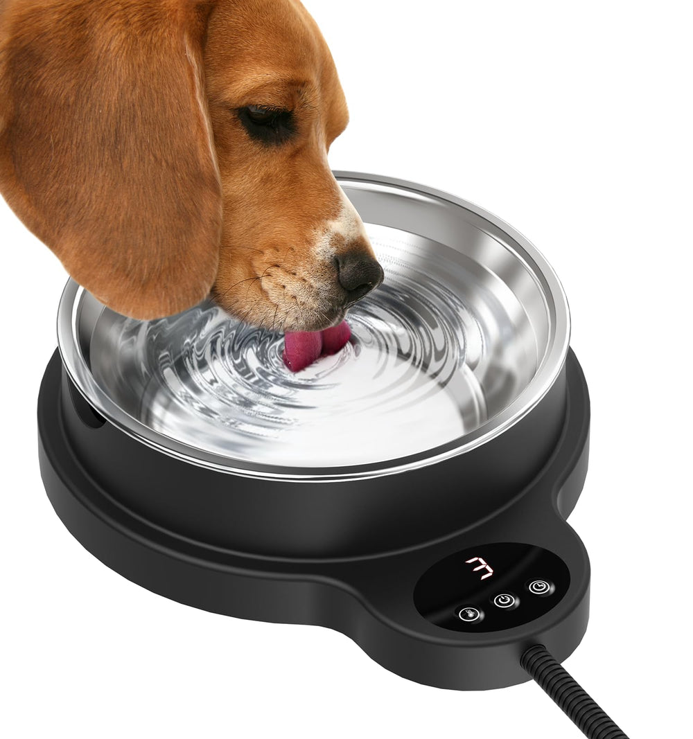 BEMOKURI outdoor heated water bowl demonstrates winter hydration for outdoor pets.
