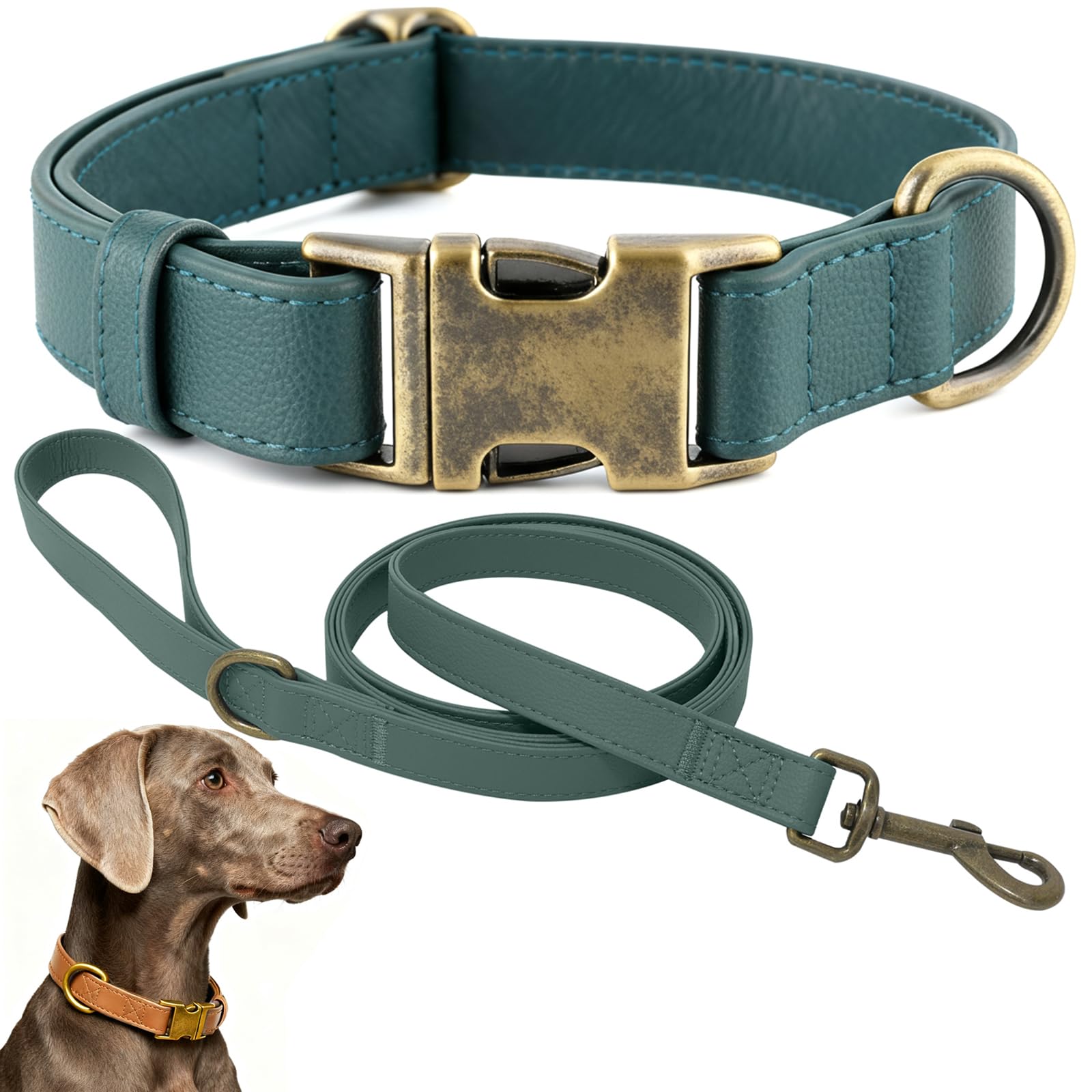 Ben & Fellows silicone dog collar closeup shows soft, flexible material for all-day comfort.