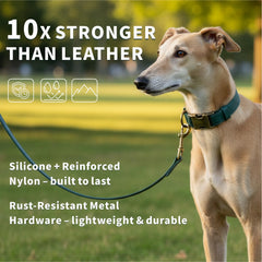 Ben & Fellows silicone dog collar with leash attachment highlights secure hardware for walks.