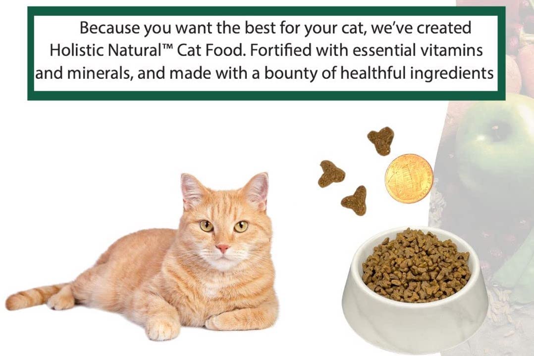 Bench & Field bag nutrition panel—antioxidants and vitamins highlighted for feline health.