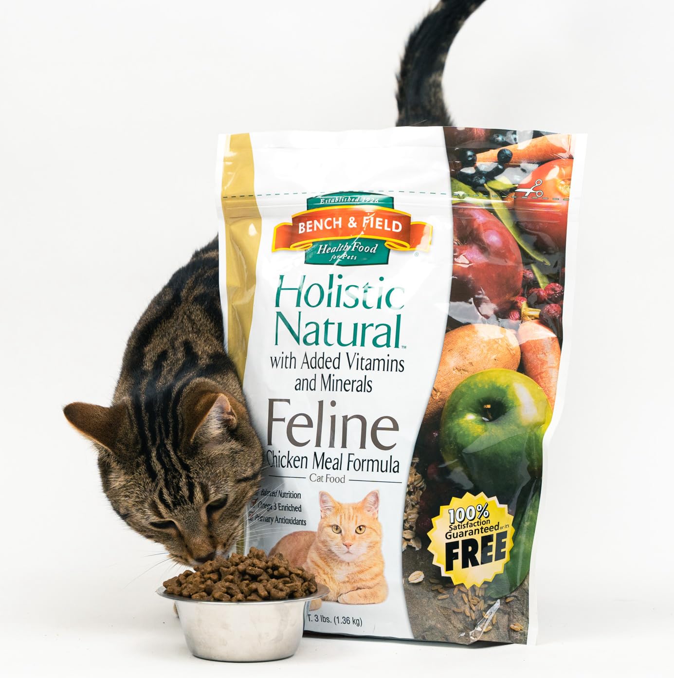 Bench & Field serving bowl with kibble—daily meal for cats.