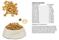 Bench & Field Holistic Natural dry dog food quinoa-carbohydrates underscore premium grains for energy and variety.