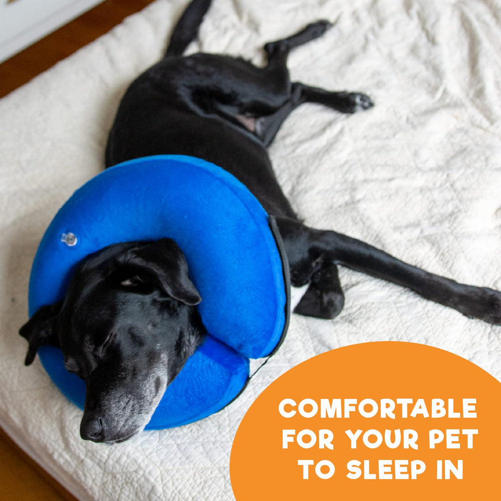 BENCMATE blue e-collar outer material is washable for easy maintenance