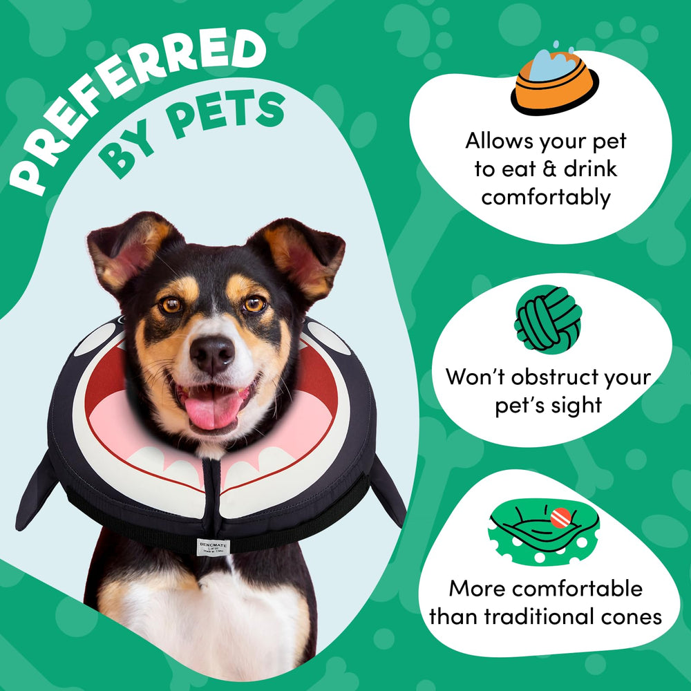 BENCMATE dog cone adjustable strap demonstrates customizable, secure fit