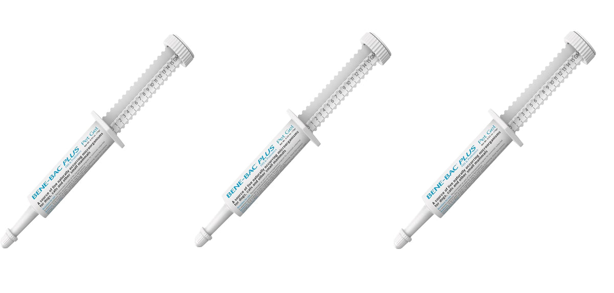 Bene-Bac Pet Gel 15g syringe closeup for easy dosing and gut-friendly probiotic support