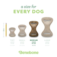Benebone Dental Chew duradero para mordidas intensas y diversión prolongada.