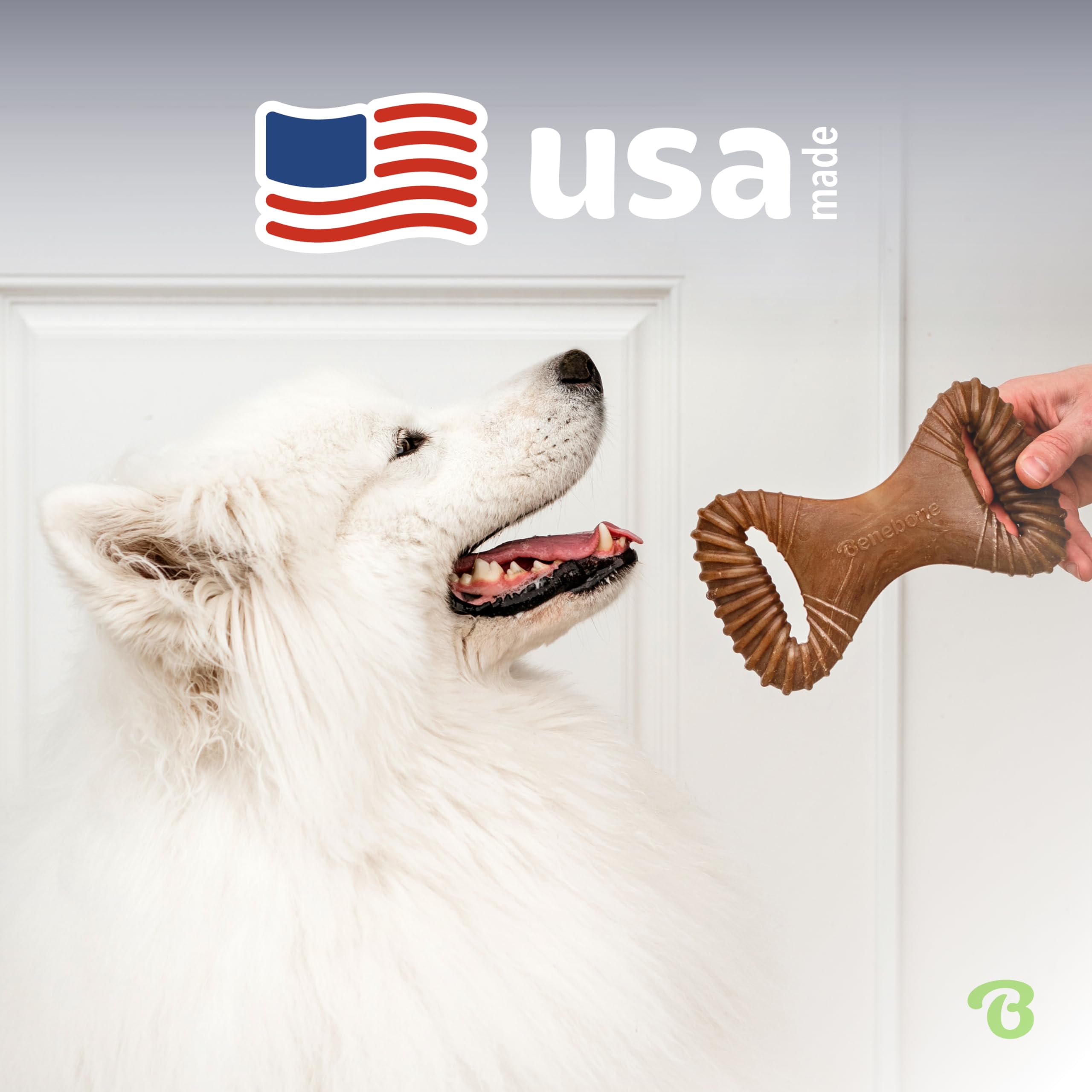 Benebone Dental Chew como juguete de tira para interacción y entretenimiento.