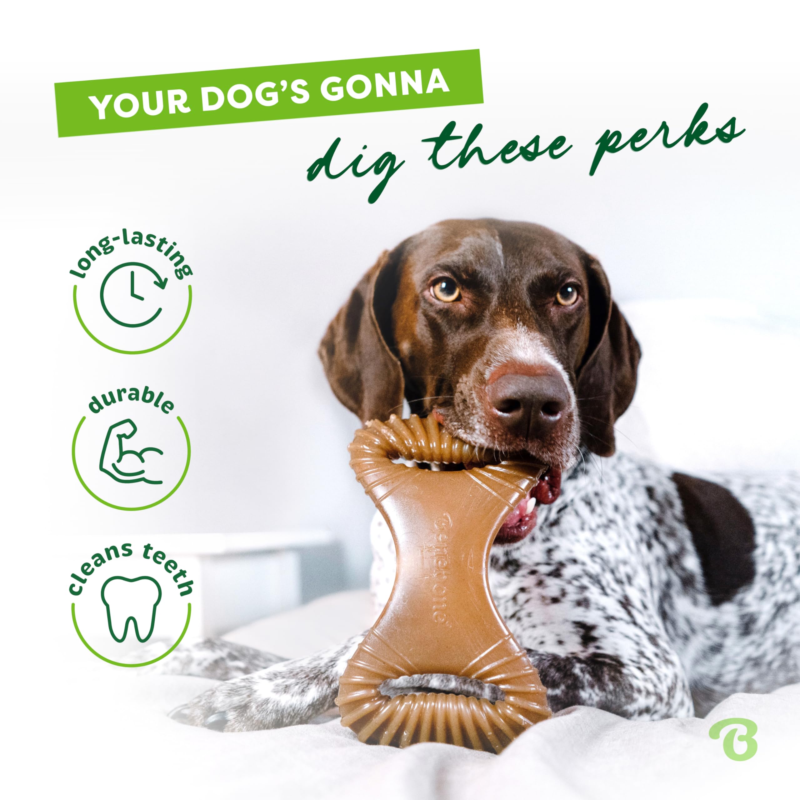 Benebone dental-stimulation ridges engage teeth and gums during chewing.