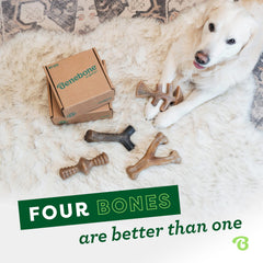 Benebone flavor-varieties bacon fish wood showcase real aroma appeal.