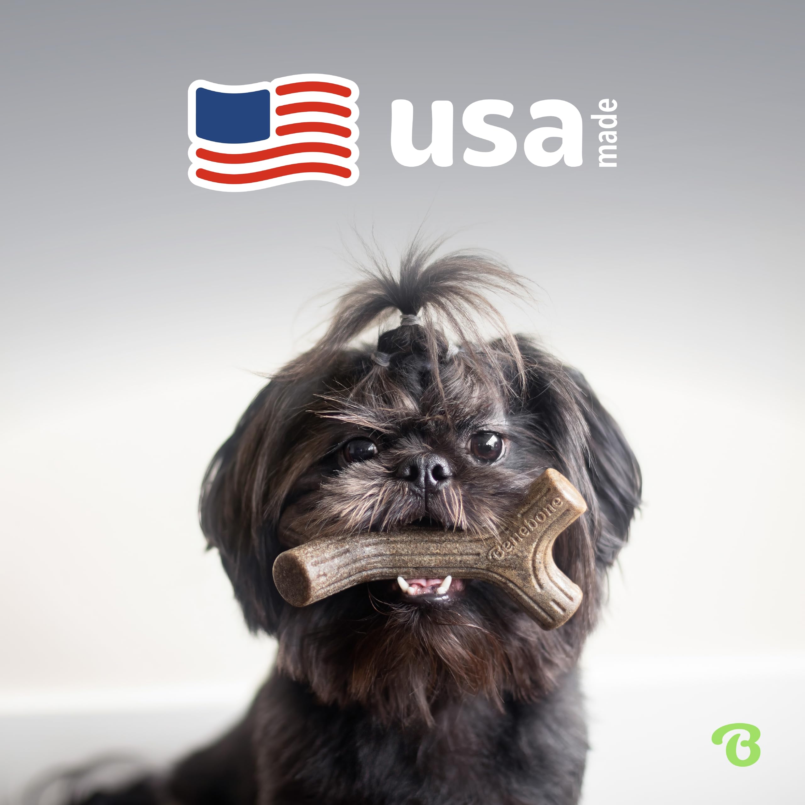 Benebone four-pack packaging demonstrates value for multi-dog households.
