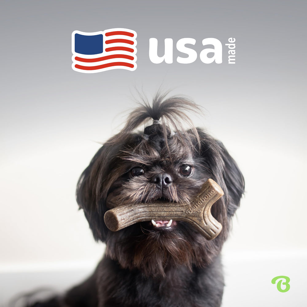 Benebone four-pack packaging demonstrates value for multi-dog households.