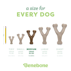Benebone Wishbone USA-made badge emphasizes American manufacturing quality