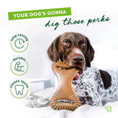 Benebone made-in-usa label signals domestic production and quality.